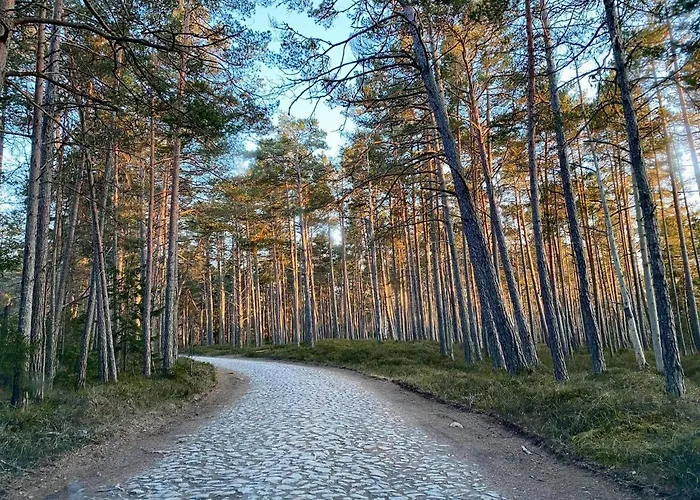 Nova Hostel Guest house Nova