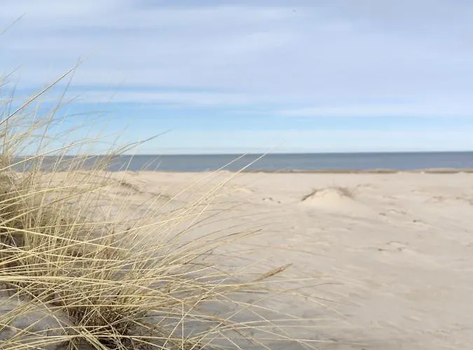 Guest house Nova Hostel