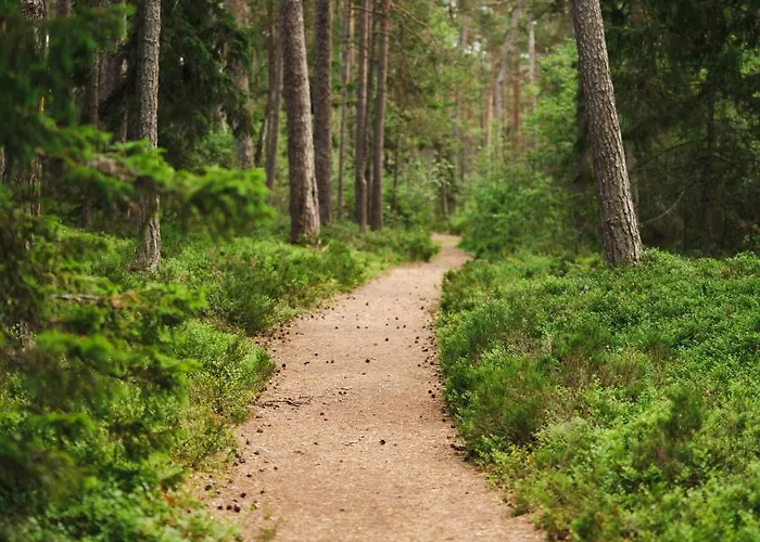 Nova Hostel Guest house *